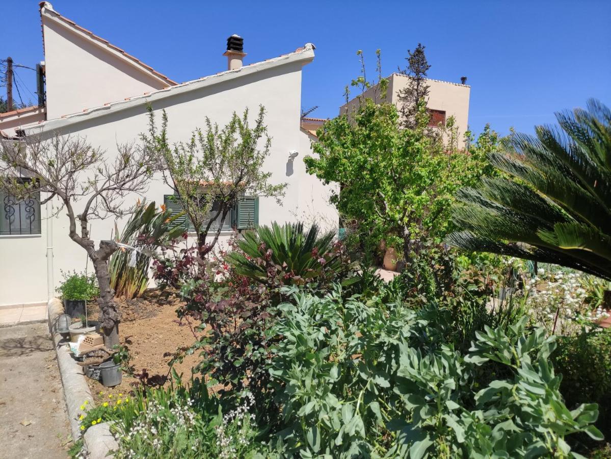 Casa Matzurana Villa Kounoupidhianá Buitenkant foto